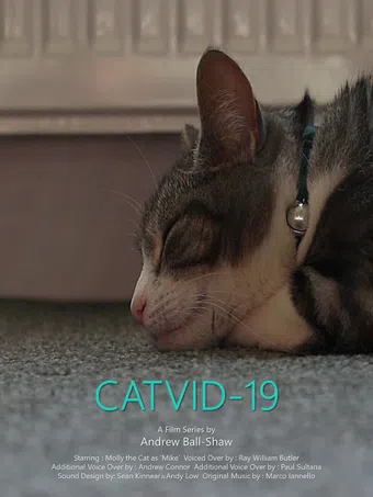 catvid-19 2020 poster