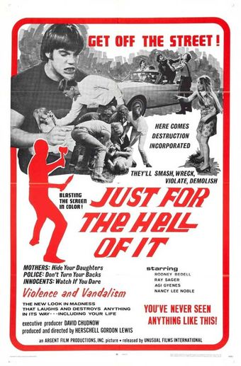 just for the hell of it 1968 poster