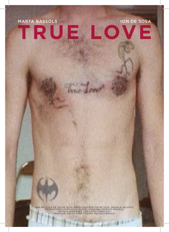 true love 2011 poster