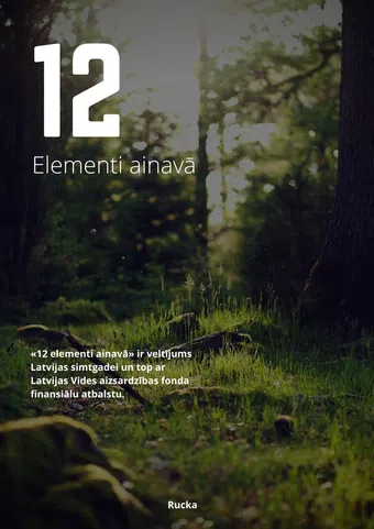 12 elementi ainava 2017 poster