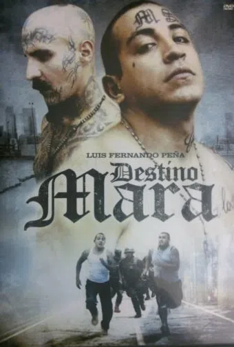 destino mara 2010 poster