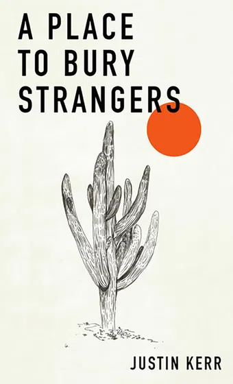 a place to bury strangers poster