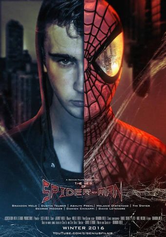 the web of spider-man 2017 poster