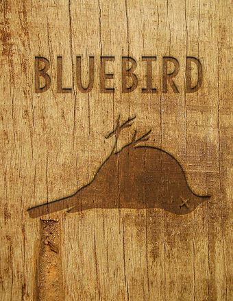 bluebird 2017 poster