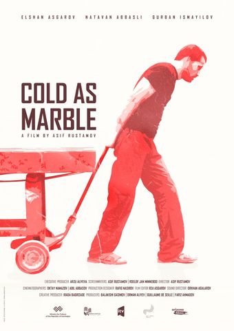 cold as marble 2022 poster