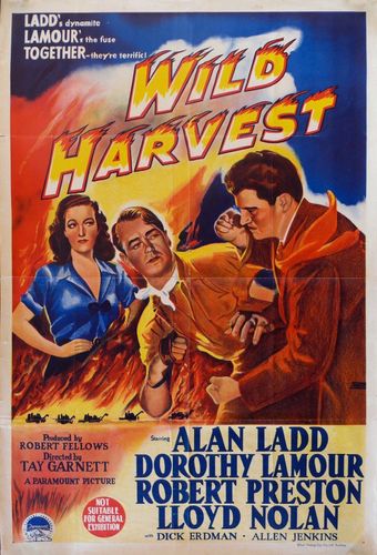 wild harvest 1947 poster