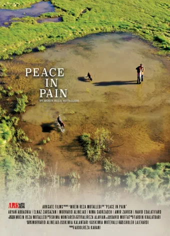 peace in pain poster