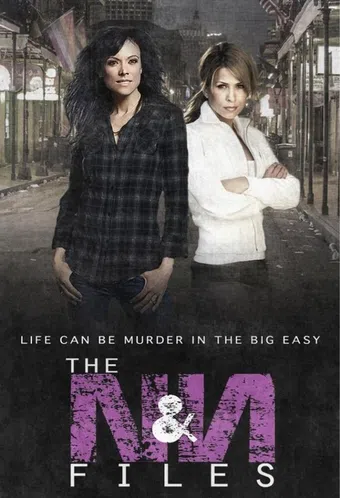 nikki & nora: the n&n files 2013 poster