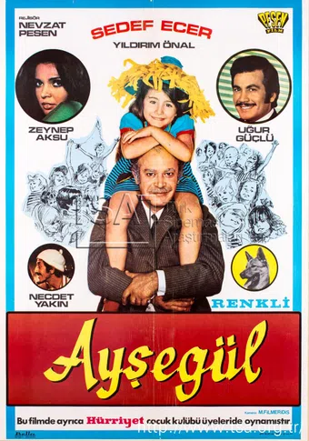 aysegül 1971 poster