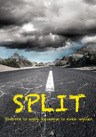 split 2013 poster