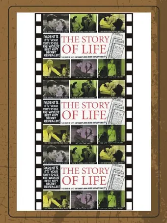 the story of life 1948 poster