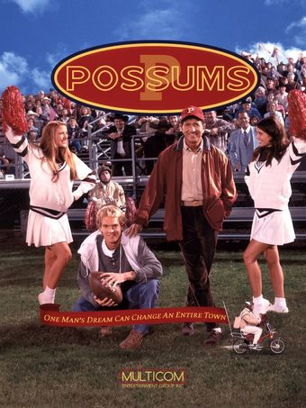 possums 1998 poster