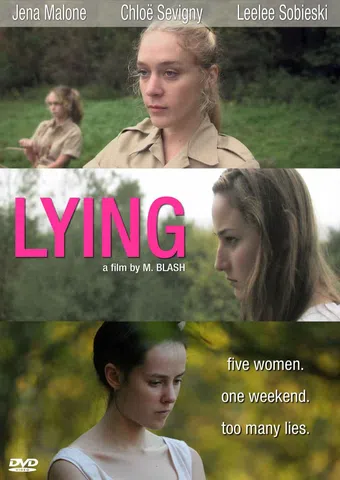 lying 2006 poster