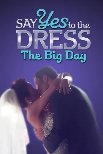 say yes to the dress: the big day 2011 poster