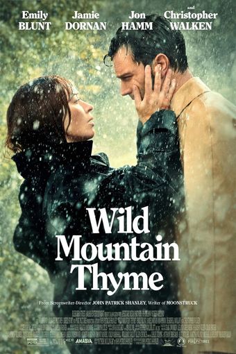 wild mountain thyme 2020 poster