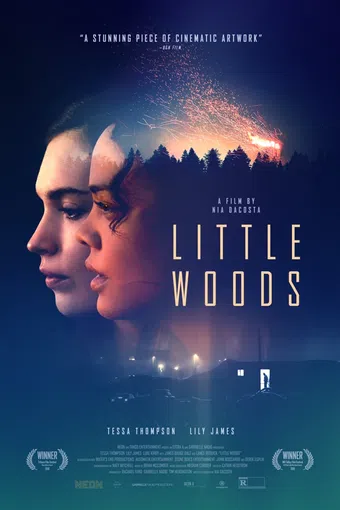 little woods 2018 poster