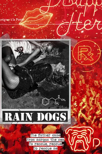 rain dogs poster