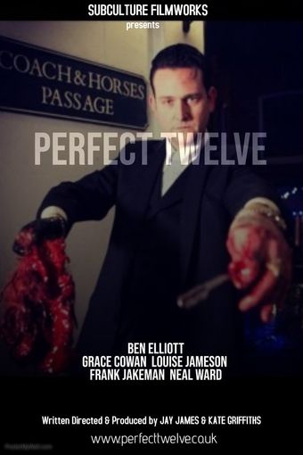 perfect twelve poster