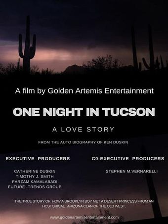 one night in tucson poster