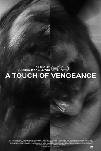 a touch of vengeance 2022 poster