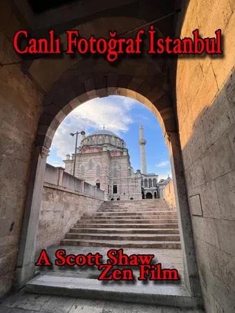 canli fotograf istanbul 2023 poster