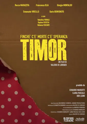 timor 2024 poster