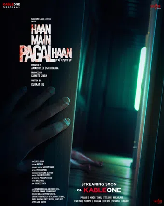 haan main pagal haan 2025 poster
