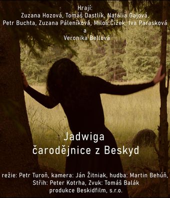 jadwiga, carodejnice z beskyd poster