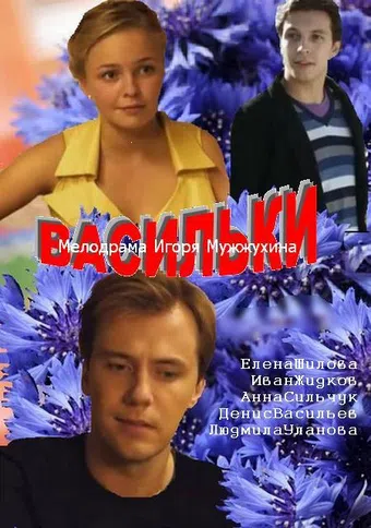 vasilicki 2013 poster