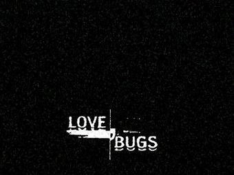 love bugs 2004 poster