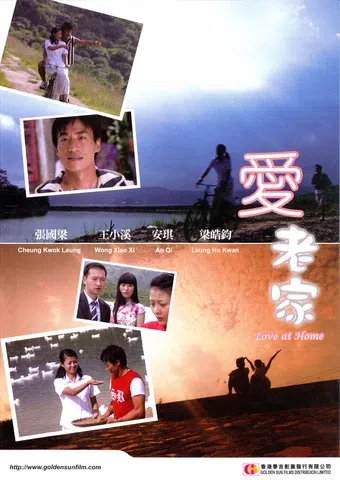 love at home 2007 poster
