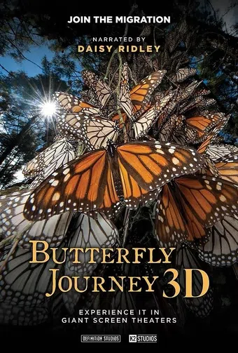butterfly journey 2024 poster