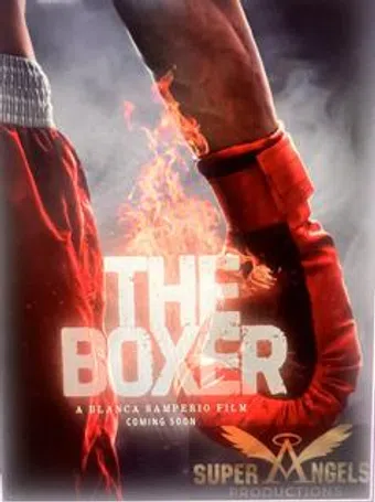 the boxer poster