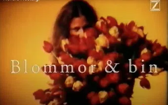 blommor & bin 1994 poster