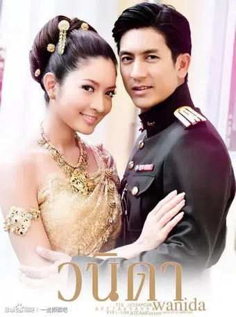 vanida 2010 poster