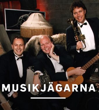 musikjägarna 1991 poster