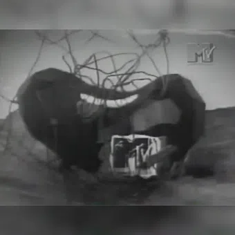 feijão mtv 1994 poster