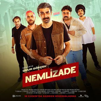 nemlizade 2024 poster