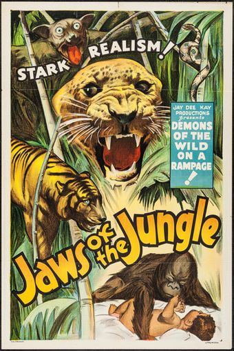 jaws of the jungle 1936 poster