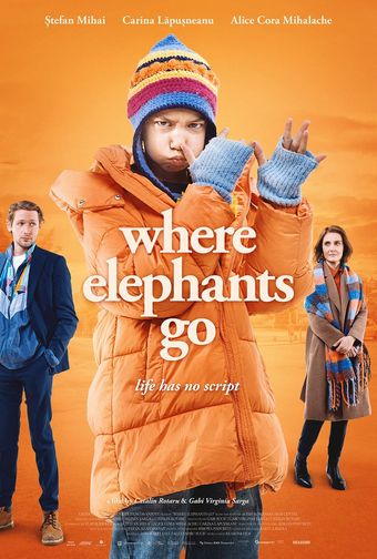 where elephants go 2024 poster