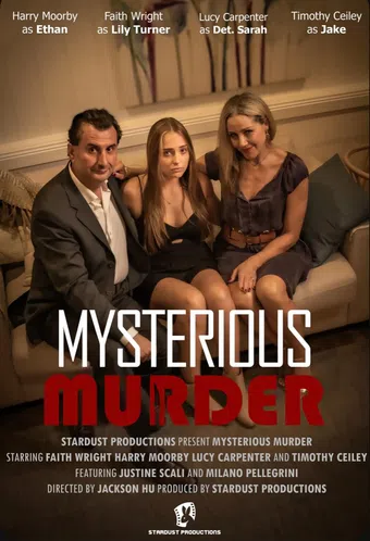 mysterious murder 2024 poster