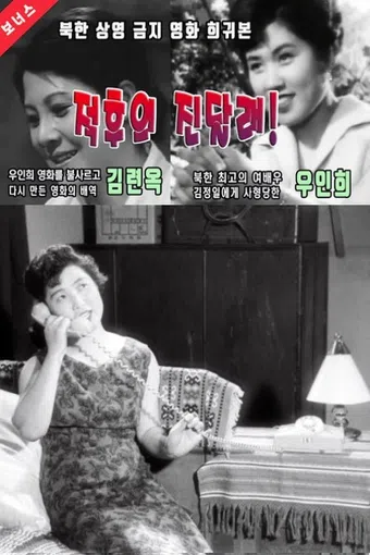 jeoghuui jindallae 1970 poster