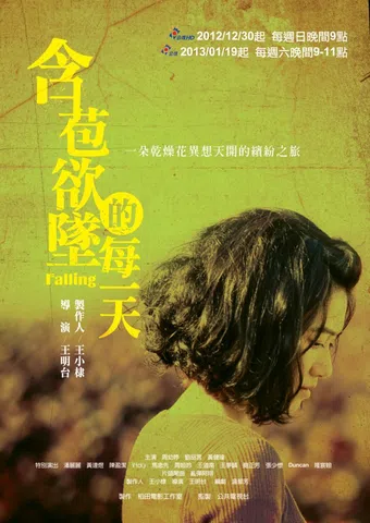 han bao yu zhui de mei yi tian 2013 poster