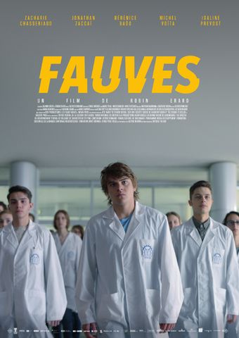 fauves 2017 poster