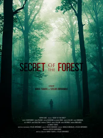 secret of the forest poster