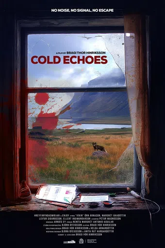 cold echoes poster