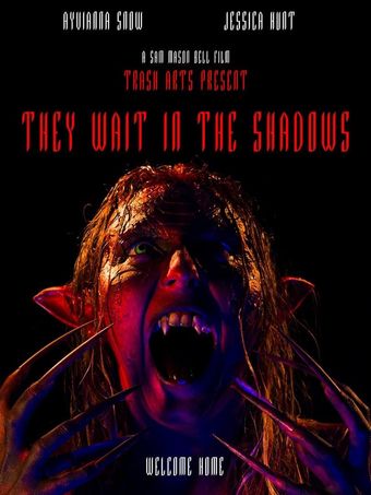 they wait in the shadows poster