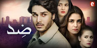 zid - express tv 2015 poster