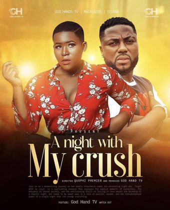 a night with my crush 2024 poster