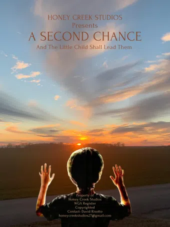 a second chance poster